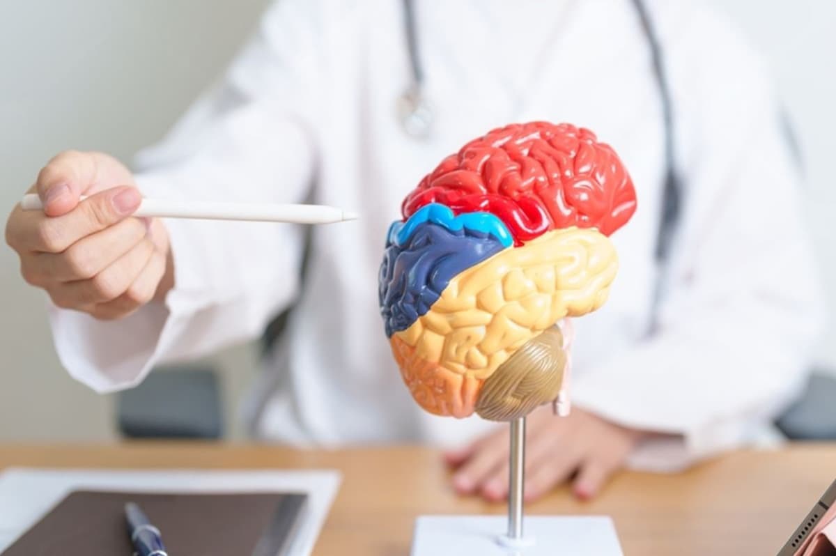 Vertige et maladie d’Alzheimer : un lien souvent négligé